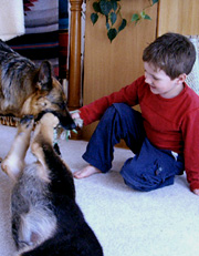 German shepherd puppies and your family