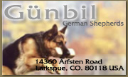 World Class German Shepherds