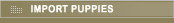 German Shepherd Import Puppies