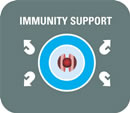 Immunity Support