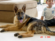 Aidan and Zorro 2006