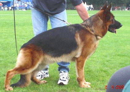 Pakros d Ulmental