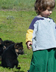 Our Youngest Trainer... Our Son