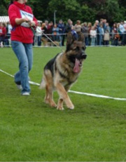 Timo's Son 2006