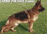 Caribik von Oasis