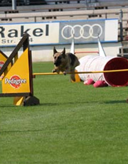 Agility