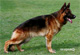 Flipp von Arlett 2005