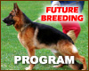 Our Future Breeding Program
