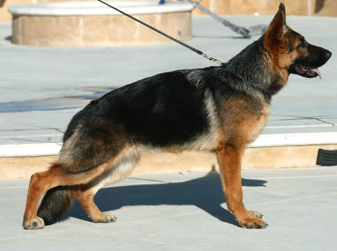 Frieda von Gunbil