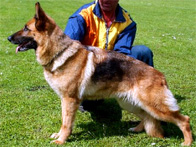 Fritzi vom Duxbachtal