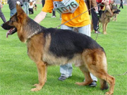 Larus von Batu 2005