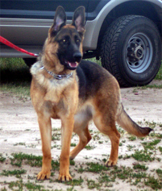 Lira von Gunbil (PICTURE TAKEN JUNE 20, 2006)