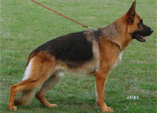 Maffay von der Wilhelmswarte