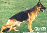 Megan von Gunbil