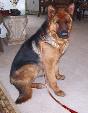 Marlo, is imported from Germany.