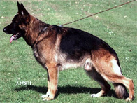 Orbit von Tronje