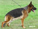 Pakros Ulmental 2004