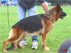 Pakros Ulmental 2004