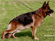 Pakros Ulmental 2005