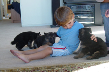 AIDAN G�NBIL 2003