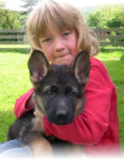 Quasso puppy 2006