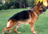 Quaro von Batu