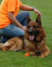 Quenn 2006