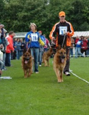 Quantum and Zamp 2006