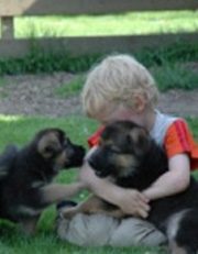 Puppy, handle with care...