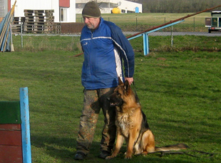 Training you dog