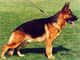 Yasko vom Farbenspiel 2004