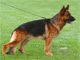 Yasko vom Farbenspiel 2001