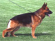 Yasko vom Farbenspiel 2003