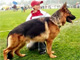 Zamp 2005