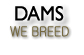 German Shepherd Dams in Our Breeding Program