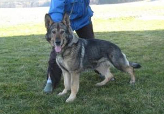 Betty vom Ruhrpark