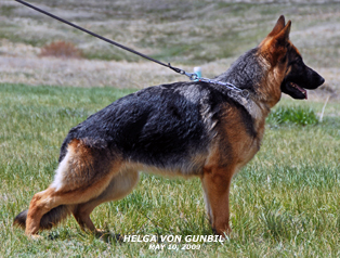 Helga von Gunbil