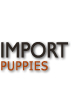 Import Puppies For Sale