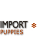 German shepherd import puppies from Germany