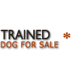 Trained German shepherd dog for sale