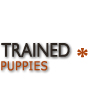 Trained German shepherd puppies for sale