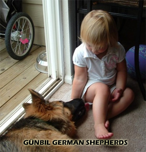 Client Gallery: John & Karen Thompson puppy