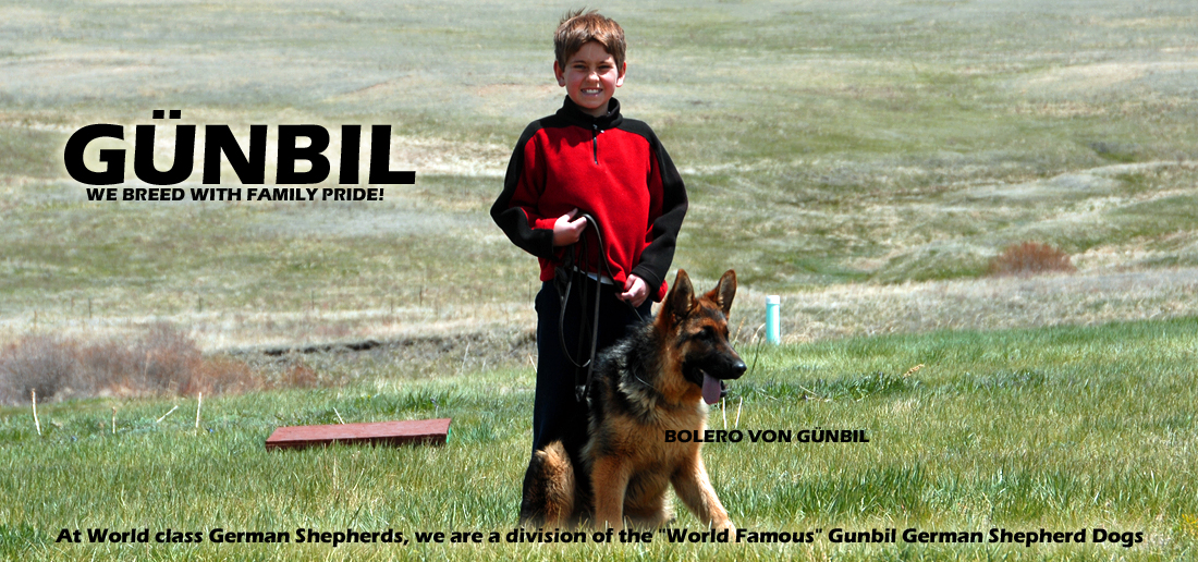 Gunbil German Shepherd Breeder