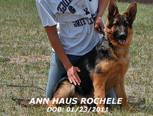 Ann vom Haus Rochele - For Profile, please lcick here.