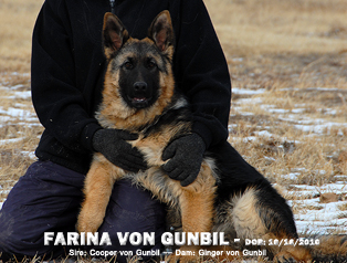 Farina von Gunbil